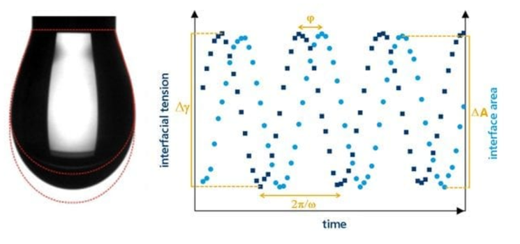 Figure Interfacial Rheology